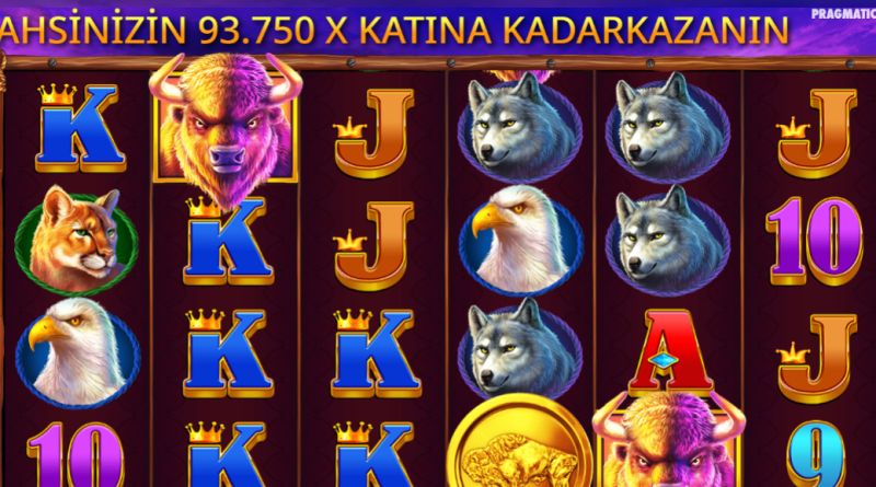 Buffalo King